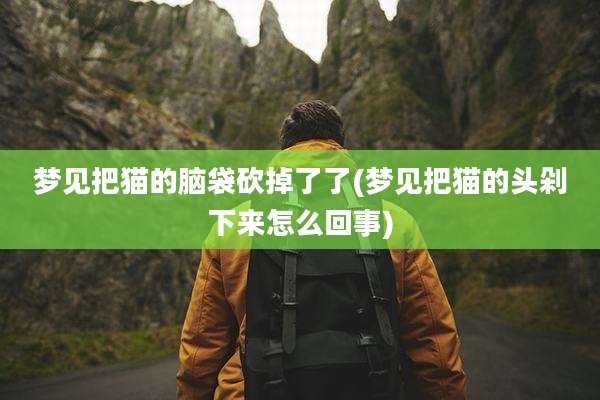 梦见把猫的脑袋砍掉了了(梦见把猫的头剁下来怎么回事)