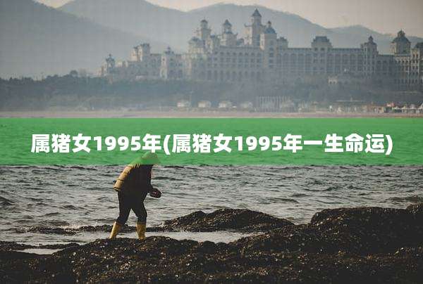属猪女1995年(属猪女1995年一生命运)