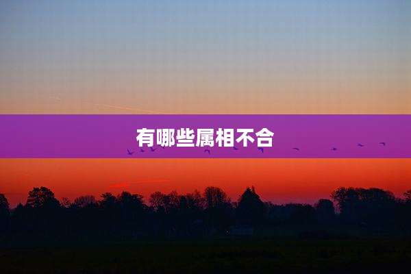 有哪些属相不合