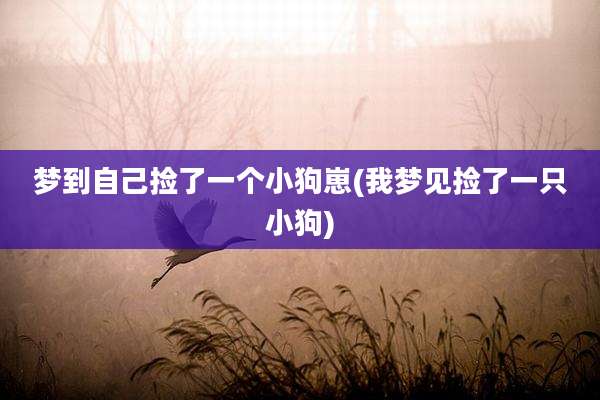 梦到自己捡了一个小狗崽(我梦见捡了一只小狗)