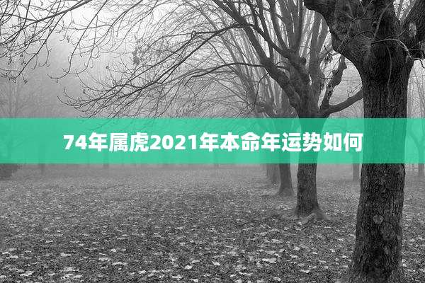 74年属虎2021年本命年运势如何