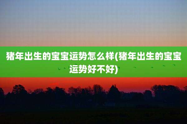 猪年出生的宝宝运势怎么样(猪年出生的宝宝运势好不好)