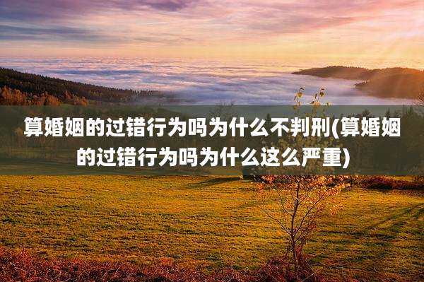 算婚姻的过错行为吗为什么不判刑(算婚姻的过错行为吗为什么这么严重)