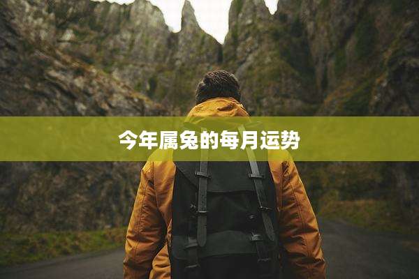 今年属兔的每月运势