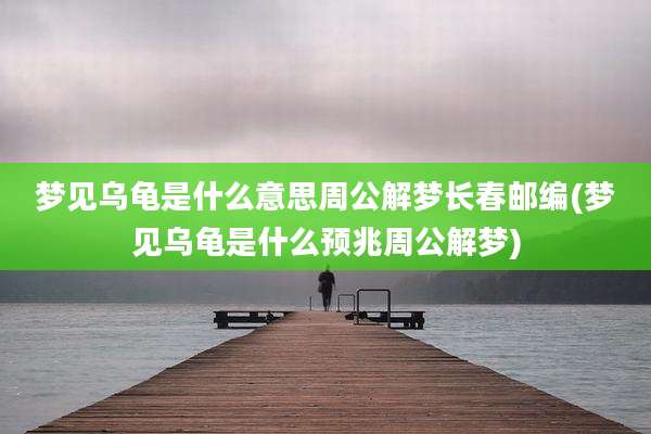 梦见乌龟是什么意思周公解梦长春邮编(梦见乌龟是什么预兆周公解梦)