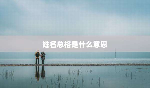 姓名总格是什么意思