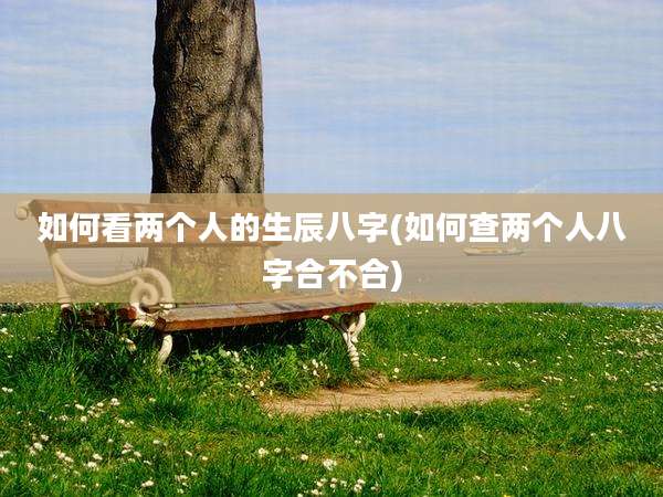 如何看两个人的生辰八字(如何查两个人八字合不合)