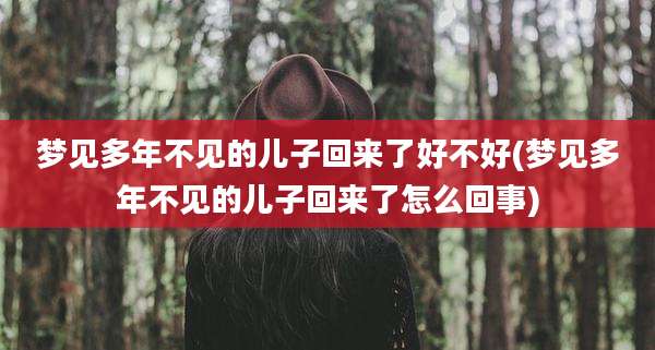 梦见多年不见的儿子回来了好不好(梦见多年不见的儿子回来了怎么回事)