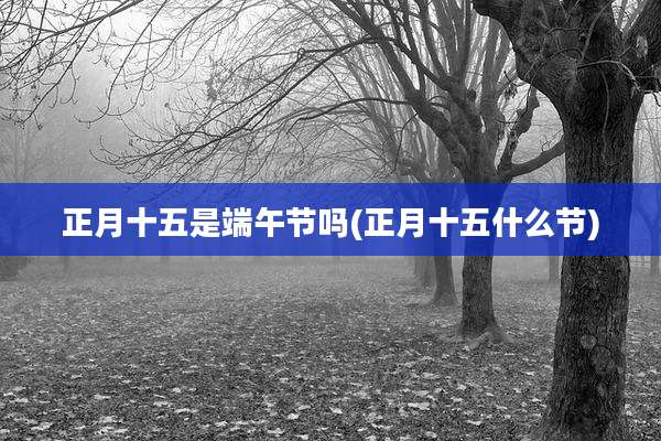 正月十五是端午节吗(正月十五什么节)