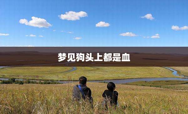 梦见狗头上都是血