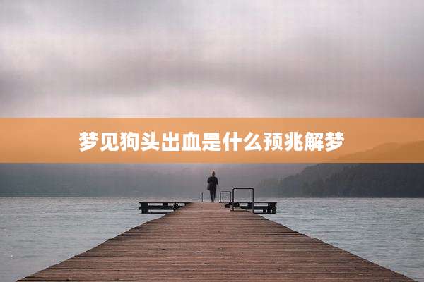 梦见狗头出血是什么预兆解梦