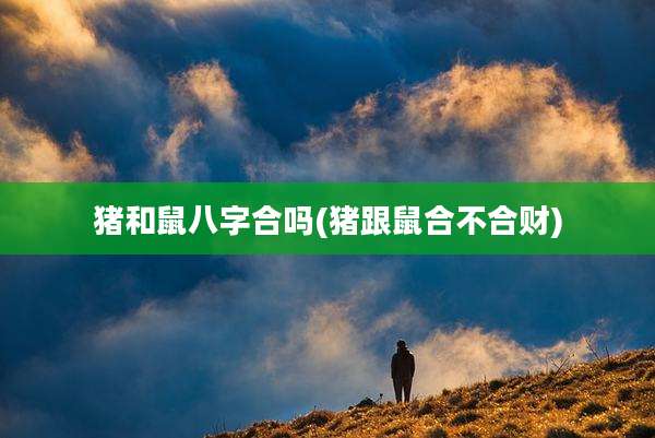 猪和鼠八字合吗(猪跟鼠合不合财)