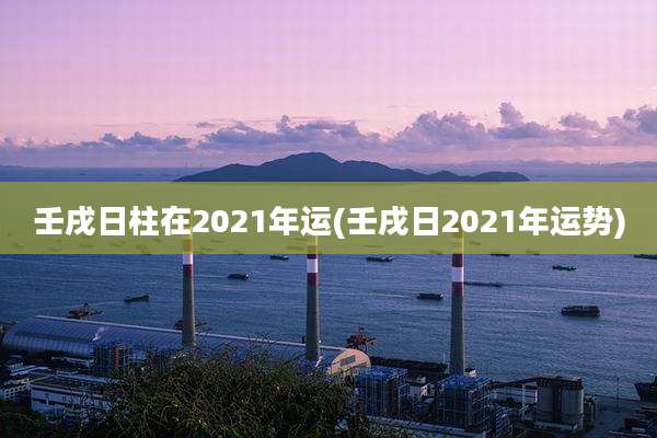 壬戌日柱在2021年运(壬戌日2021年运势)