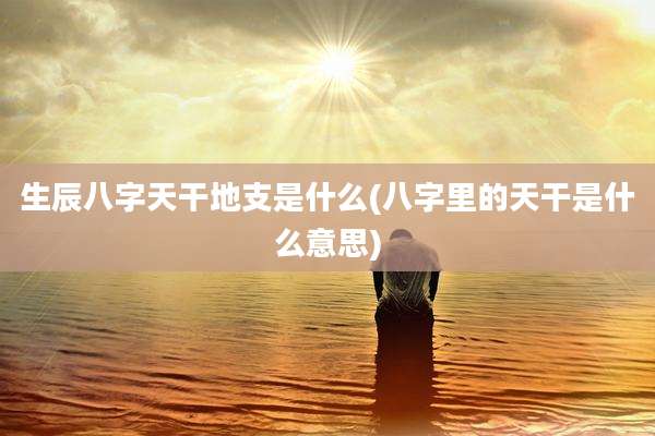 生辰八字天干地支是什么(八字里的天干是什么意思)