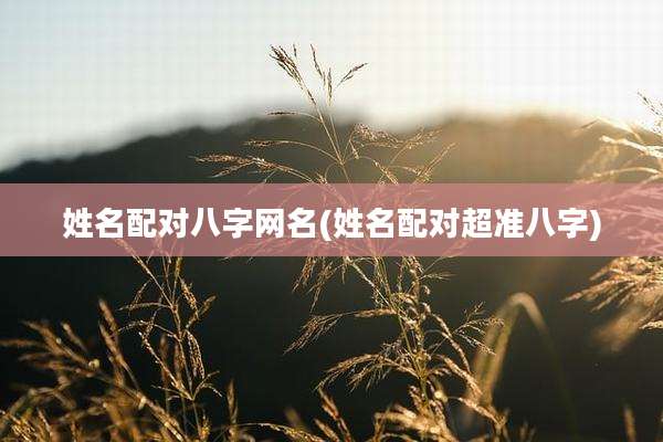 姓名配对八字网名(姓名配对超准八字)