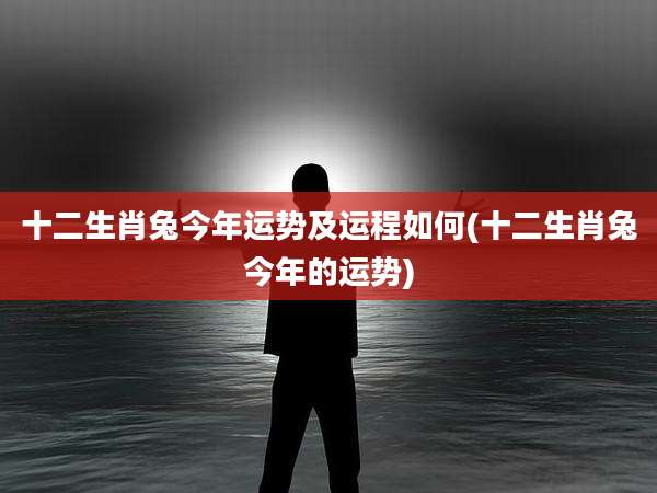 十二生肖兔今年运势及运程如何(十二生肖兔今年的运势)