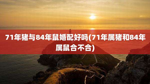 71年猪与84年鼠婚配好吗(71年属猪和84年属鼠合不合)