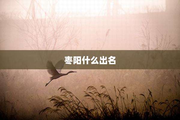 枣阳什么出名
