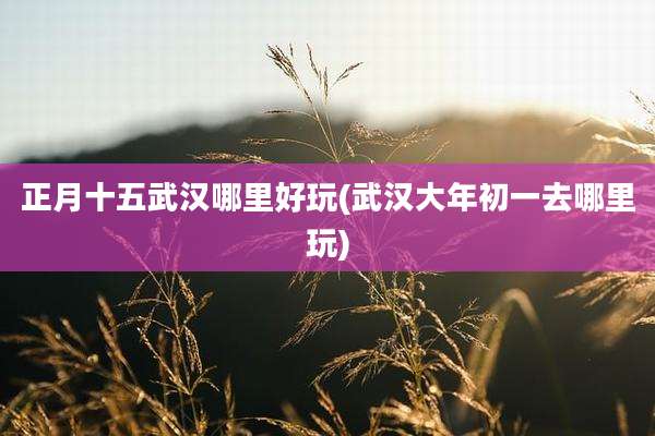 正月十五武汉哪里好玩(武汉大年初一去哪里玩)