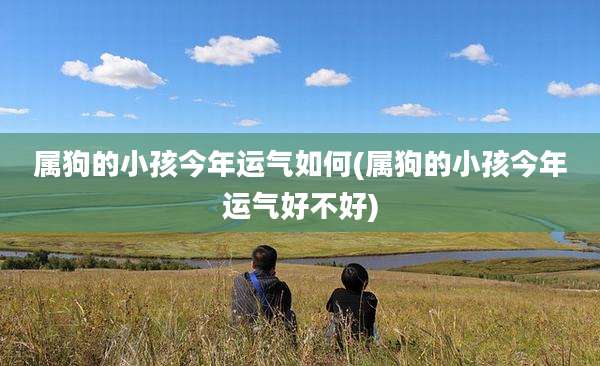 属狗的小孩今年运气如何(属狗的小孩今年运气好不好)