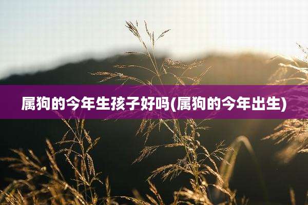 属狗的今年生孩子好吗(属狗的今年出生)