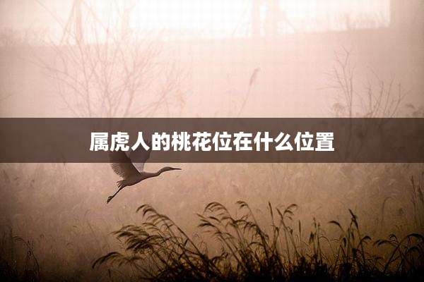 属虎人的桃花位在什么位置