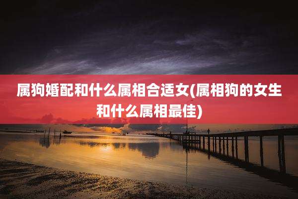属狗婚配和什么属相合适女(属相狗的女生和什么属相最佳)