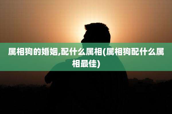 属相狗的婚姻,配什么属相(属相狗配什么属相最佳)