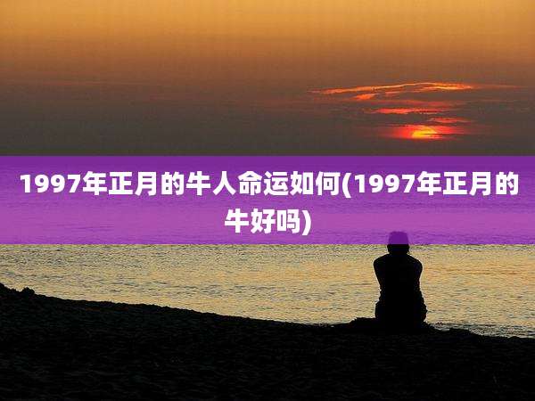 1997年正月的牛人命运如何(1997年正月的牛好吗)