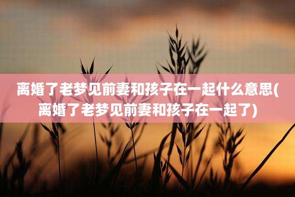 离婚了老梦见前妻和孩子在一起什么意思(离婚了老梦见前妻和孩子在一起了)