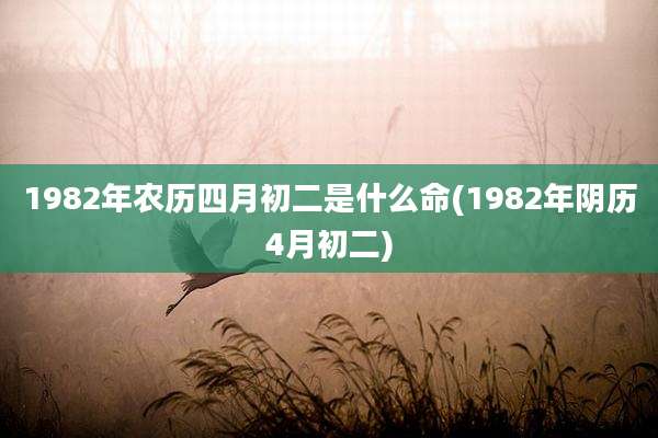 1982年农历四月初二是什么命(1982年阴历4月初二)