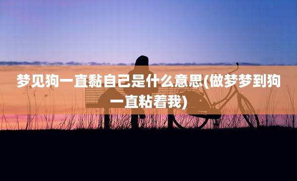 梦见狗一直黏自己是什么意思(做梦梦到狗一直粘着我)