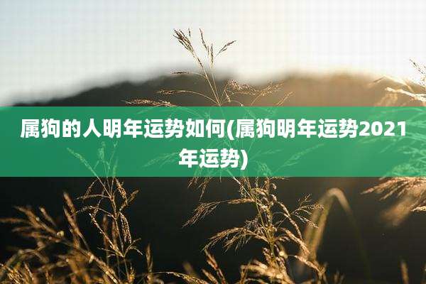 属狗的人明年运势如何(属狗明年运势2021年运势)
