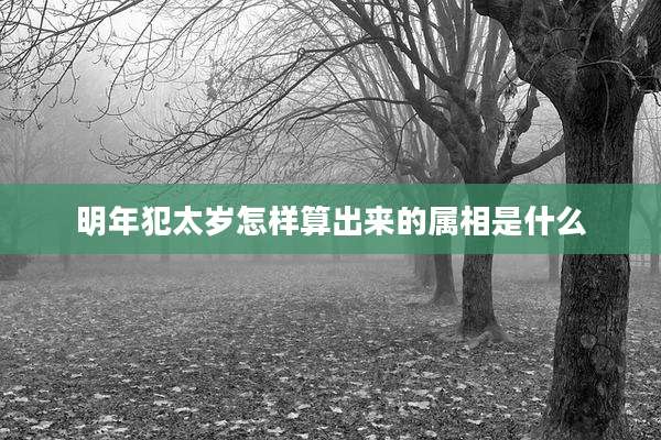 明年犯太岁怎样算出来的属相是什么