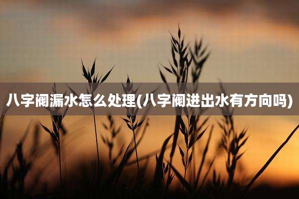 八字阀漏水怎么处理(八字阀进出水有方向吗)