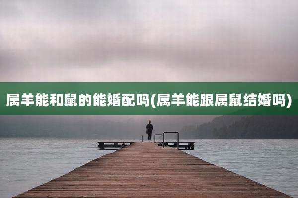 属羊能和鼠的能婚配吗(属羊能跟属鼠结婚吗)