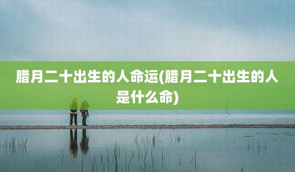 腊月二十出生的人命运(腊月二十出生的人是什么命)