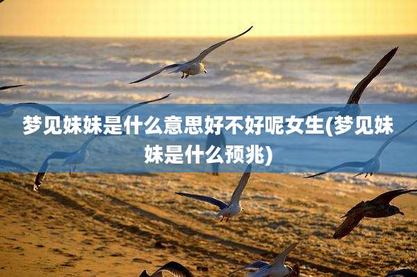 梦见妹妹是什么意思好不好呢女生(梦见妹妹是什么预兆)