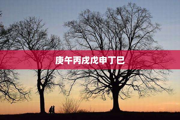 庚午丙戌戊申丁巳