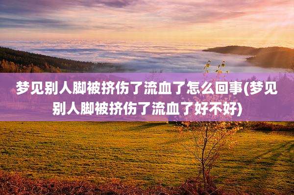 梦见别人脚被挤伤了流血了怎么回事(梦见别人脚被挤伤了流血了好不好)