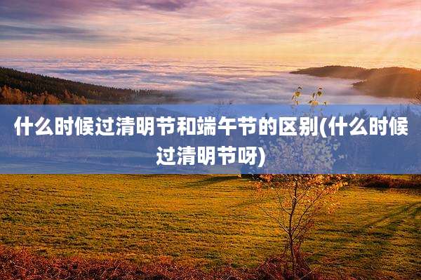 什么时候过清明节和端午节的区别(什么时候过清明节呀)