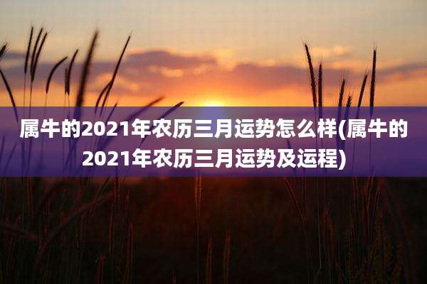 属牛的2021年农历三月运势怎么样(属牛的2021年农历三月运势及运程)