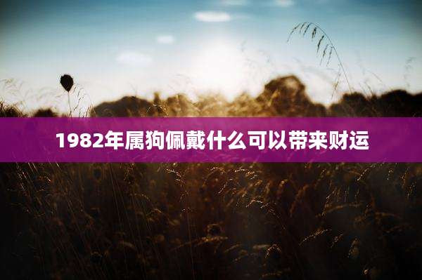 1982年属狗佩戴什么可以带来财运