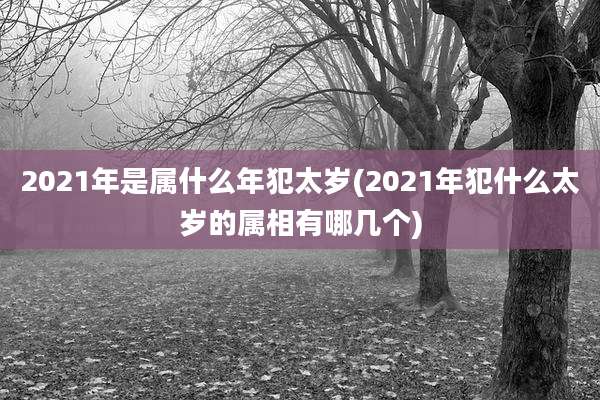 2021年是属什么年犯太岁(2021年犯什么太岁的属相有哪几个)
