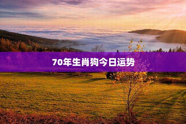 70年生肖狗今日运势