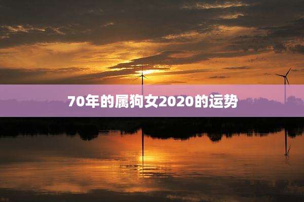 70年的属狗女2020的运势
