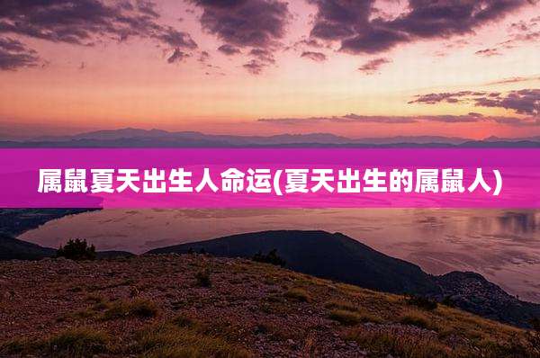属鼠夏天出生人命运(夏天出生的属鼠人)