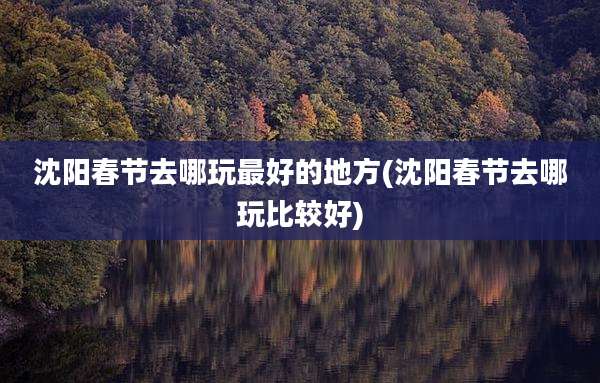 沈阳春节去哪玩最好的地方(沈阳春节去哪玩比较好)