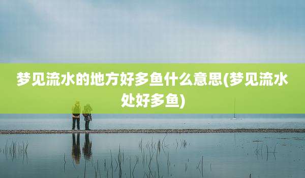 梦见流水的地方好多鱼什么意思(梦见流水处好多鱼)