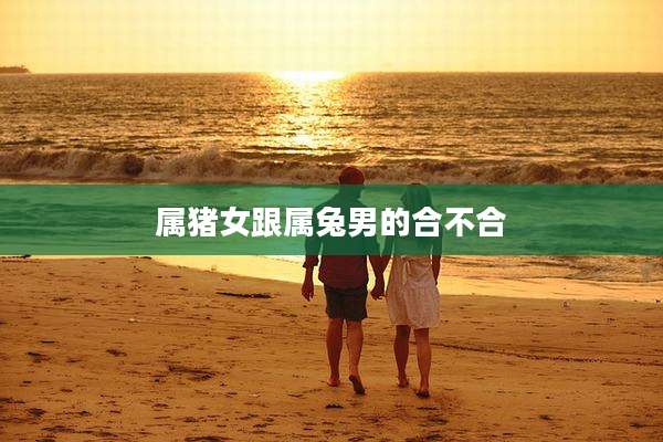 属猪女跟属兔男的合不合